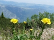 Čierna Hora –Montenegro –pohorie Durmitor