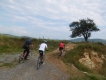 Banát po vode a na bicykli