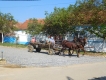 Banát po vode a na bicykli