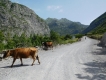 Na biku Čiernou horou až do Albánska