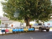 Vodáci v Rumunsku