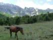 Albánsko, dolina Valbona