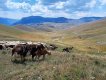 Bosna-Bjelašnica 08/2022