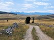 Bosna-Bjelašnica 08/2022