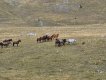 Bosna – Bjelašnica: 15. – 19. september