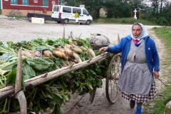 Jeden super zájazd,alebo Rumunský Banát