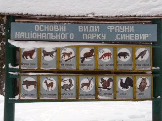 Skialpinizmus na Ukrajine alebo ako prišiel bluegrass na Zakarpatskú Rus