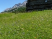 Livigno na bicykli