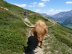 Livigno na bicykli