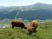 Livigno na bicykli