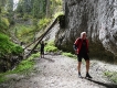 Padišska Planina, pohorie Apuseni Rumunsko