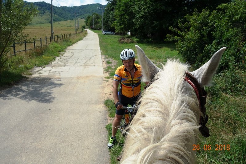 66