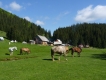 Rumunsko Apuseni máj 2015 - 2. turnus