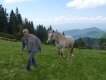 Rumunsko Apuseni máj 2015 - 2. turnus