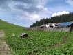 Samozvane Kosovo –z denníka účastníka zájazdu