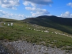 Trans-fagarašan