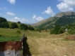 V Bosne ako vo sne