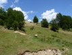 V Bosne ako vo sne