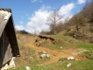 Veľkonočný Banát