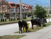 Vôbec nie lážo plážo Macedónsko